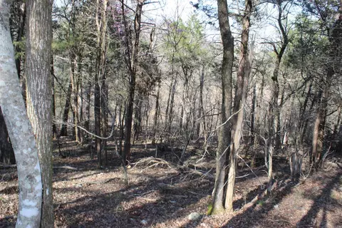 151 Vance Rd, Peel, AR 72668 photo 13