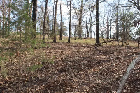 151 Vance Rd, Peel, AR 72668 photo 26