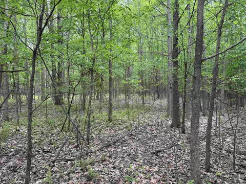 000 Hwy 64, Augusta, AR 72006 photo 12
