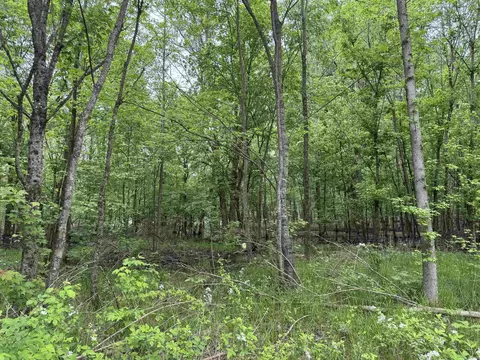 000 Hwy 64, Augusta, AR 72006 photo 10