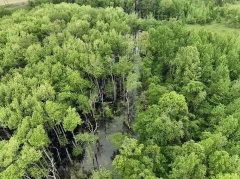 000 Hwy 64, Augusta, AR 72006 photo 3