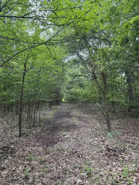 000 Hwy 64, Augusta, AR 72006 photo 11