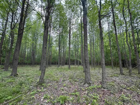 000 Hwy 64, Augusta, AR 72006 photo 13