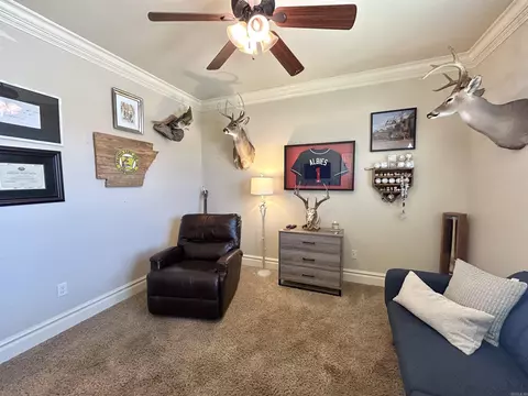 4810 Peterson Cv, Conway, AR 72034 photo 37