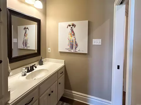4810 Peterson Cv, Conway, AR 72034 photo 30