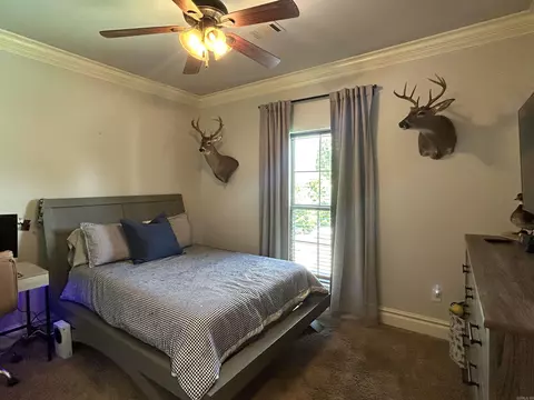 4810 Peterson Cv, Conway, AR 72034 photo 28