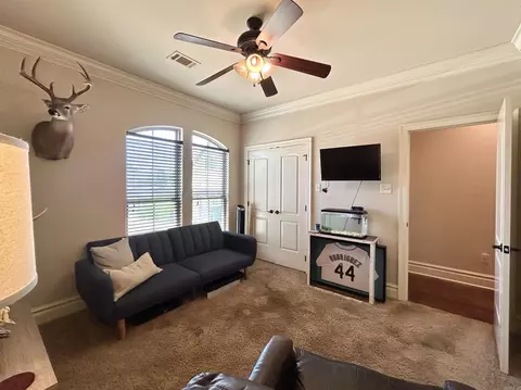 4810 Peterson Cv, Conway, AR 72034 photo 38