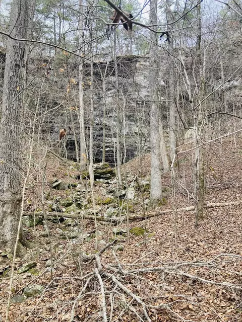 10 Campbell Ln, Calico Rock, AR 72556 photo 11