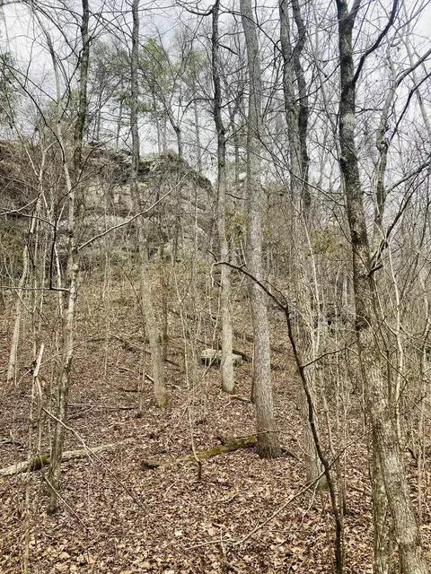 10 Campbell Ln, Calico Rock, AR 72556 photo 13