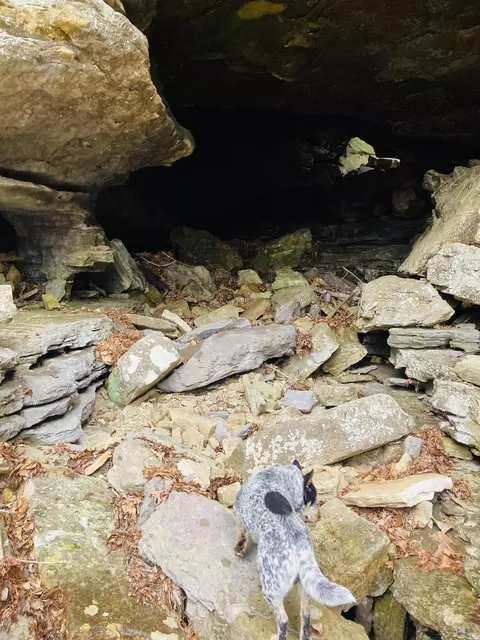 10 Campbell Ln, Calico Rock, AR 72556 photo 5