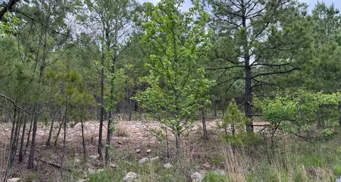 152 Oneida Way, Maumelle, AR 72113