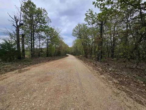 Moonlight Road, Mammoth Spring, AR 72554 photo 7