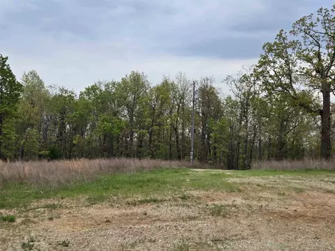 Moonlight Road, Mammoth Spring, AR 72554 photo 29
