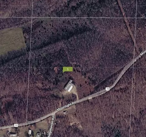 Moonlight Road, Mammoth Spring, AR 72554 photo 33