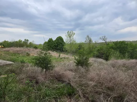 Moonlight Road, Mammoth Spring, AR 72554 photo 21