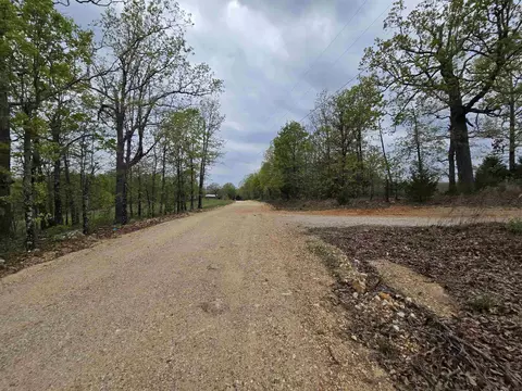 Moonlight Road, Mammoth Spring, AR 72554 photo 8