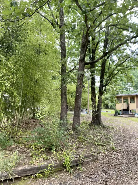 6905 Ram Rd, Mabelvale, AR 72103 photo 12