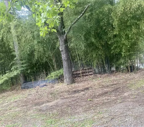 6905 Ram Rd, Mabelvale, AR 72103 photo 1