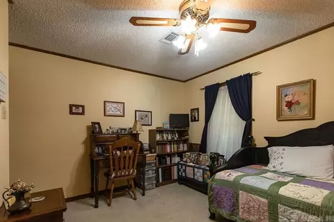 20 Hallous St, Conway, AR 72032 photo 20