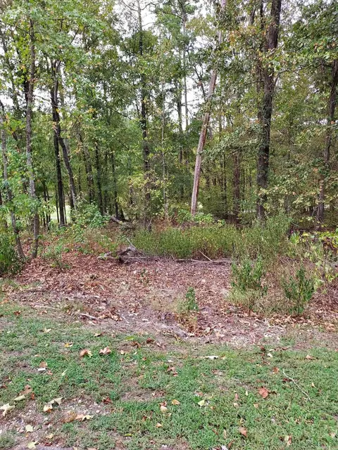 30 Darro Way, Hot Springs Village, AR 71909