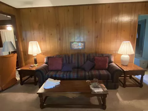 113 E Simpson St, Mount Ida, AR 71957 photo 20