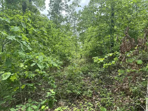 000 Holley Mtn Rd, Clinton, AR 72031 photo 10