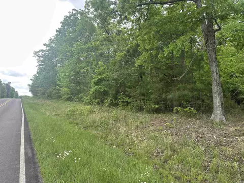 000 Holley Mtn Rd, Clinton, AR 72031 photo 3