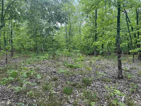 000 Holley Mtn Rd, Clinton, AR 72031 photo 19