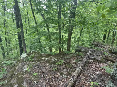 000 Holley Mtn Rd, Clinton, AR 72031 photo 13