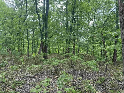 000 Holley Mtn Rd, Clinton, AR 72031 photo 23