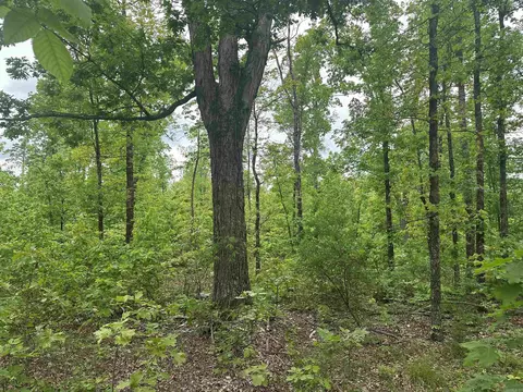 000 Holley Mtn Rd, Clinton, AR 72031 photo 16