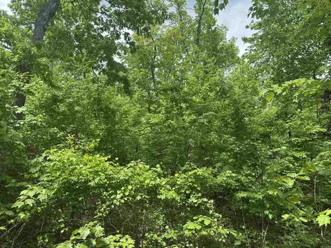 000 Holley Mtn Rd, Clinton, AR 72031 photo 8