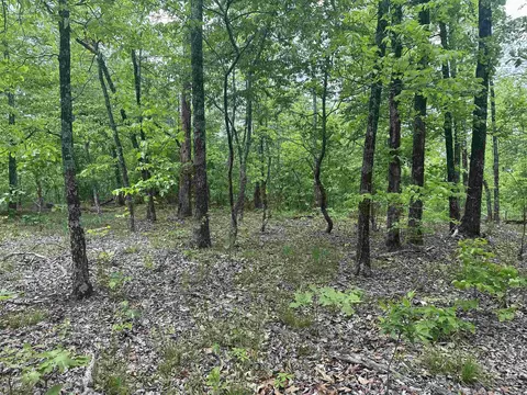 000 Holley Mtn Rd, Clinton, AR 72031 photo 21