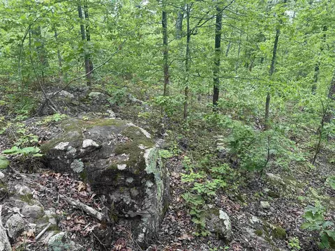 000 Holley Mtn Rd, Clinton, AR 72031 photo 14