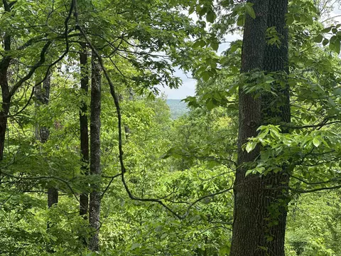 000 Holley Mtn Rd, Clinton, AR 72031 photo 6