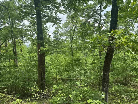000 Holley Mtn Rd, Clinton, AR 72031 photo 11