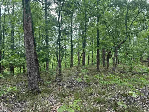 000 Holley Mtn Rd, Clinton, AR 72031 photo 18