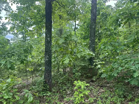 000 Holley Mtn Rd, Clinton, AR 72031 photo 9