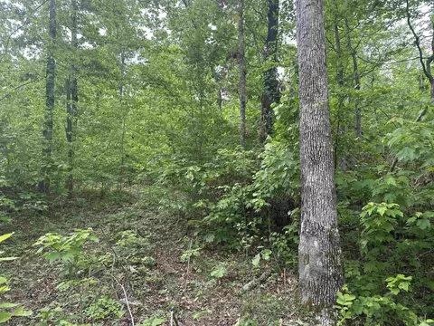 000 Holley Mtn Rd, Clinton, AR 72031 photo 4