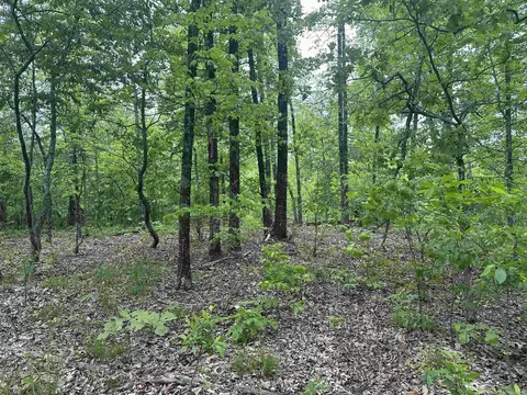 000 Holley Mtn Rd, Clinton, AR 72031 photo 20