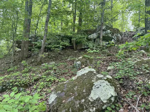 000 Holley Mtn Rd, Clinton, AR 72031 photo 12