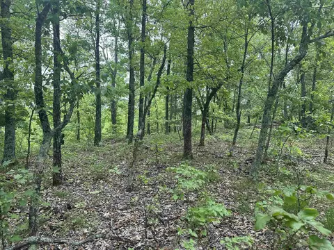 000 Holley Mtn Rd, Clinton, AR 72031 photo 5