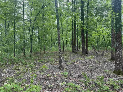 000 Holley Mtn Rd, Clinton, AR 72031 photo 17