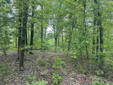 000 Holley Mtn Rd, Clinton, AR 72031 photo 22