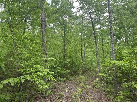 000 Holley Mtn Rd, Clinton, AR 72031 photo 7