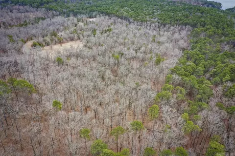 0 Florence Rd, Edgemont, AR 72044 photo 3