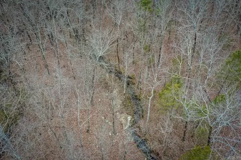 0 Florence Rd, Edgemont, AR 72044 photo 4