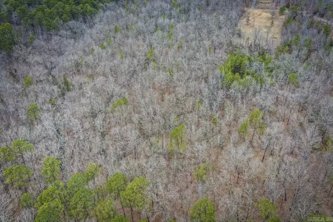 0 Florence Rd, Edgemont, AR 72044 photo 7