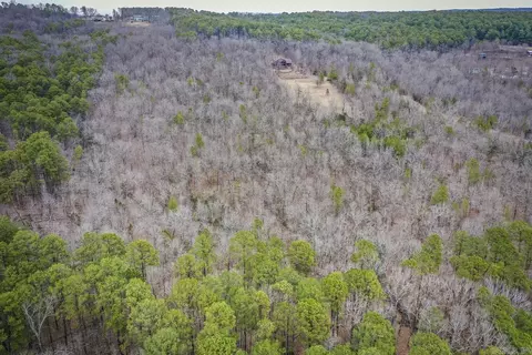 0 Florence Rd, Edgemont, AR 72044 photo 5