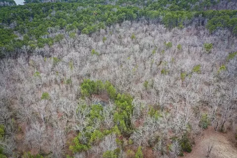0 Florence Rd, Edgemont, AR 72044 photo 11